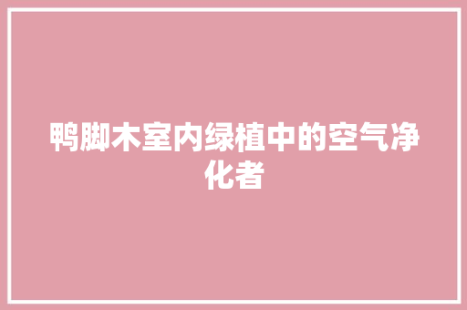 鸭脚木室内绿植中的空气净化者 龙头管件