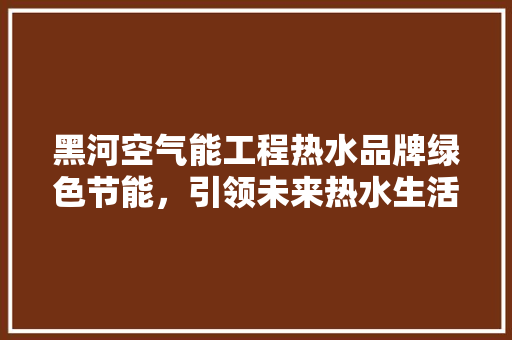 黑河空气能工程热水品牌绿色节能，引领未来热水生活 局部翻新
