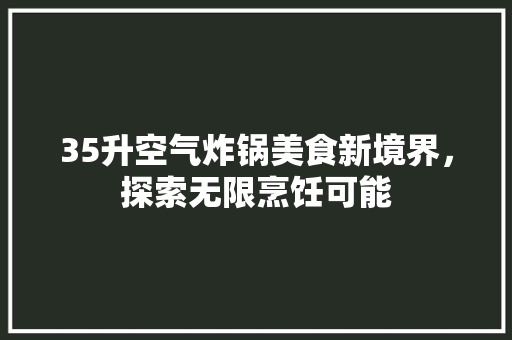 35升空气炸锅美食新境界，探索无限烹饪可能 装修设计