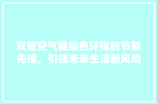 双智空气能绿色环保的节能先锋，引领未来生活新风尚 龙头管件