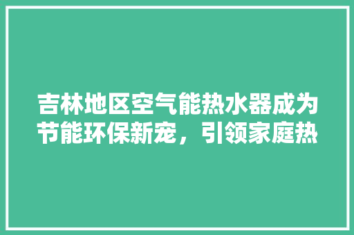吉林地区空气能热水器成为节能环保新宠，引领家庭热水革命 热水器