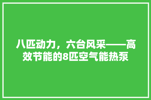 八匹动力，六台风采——高效节能的8匹空气能热泵 热水器