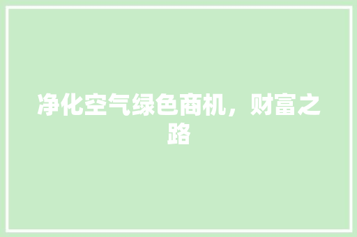净化空气绿色商机，财富之路 灯具安装