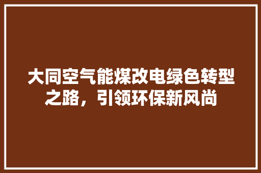 大同空气能煤改电绿色转型之路，引领环保新风尚 家居维修