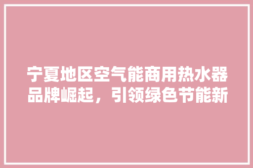 宁夏地区空气能商用热水器品牌崛起，引领绿色节能新潮流 水电维修
