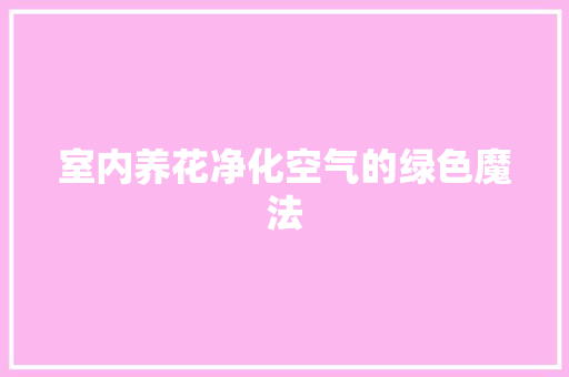 室内养花净化空气的绿色魔法 旧房改造