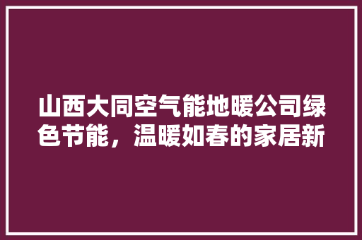 山西大同空气能地暖公司绿色节能，温暖如春的家居新选择 热水器