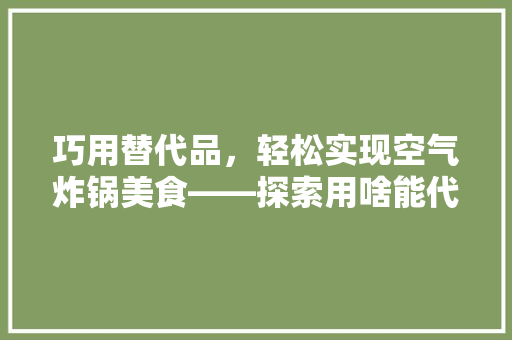 巧用替代品，轻松实现空气炸锅美食——探索用啥能代替空气炸锅的多样选择 空调