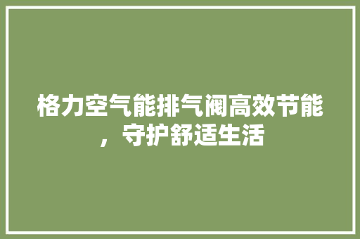格力空气能排气阀高效节能，守护舒适生活 清洁保养