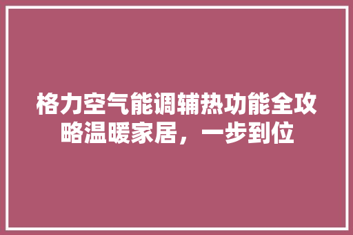 格力空气能调辅热功能全攻略温暖家居，一步到位 冰箱