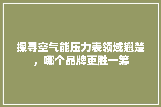 探寻空气能压力表领域翘楚，哪个品牌更胜一筹 旧房改造