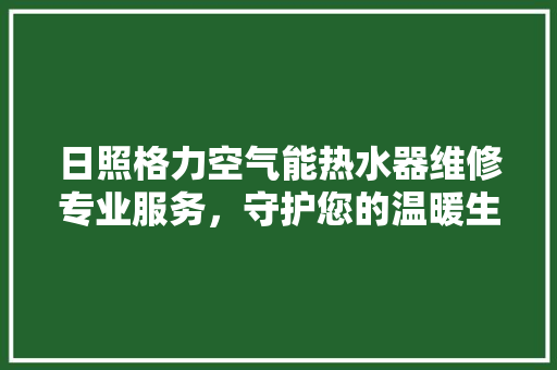 日照格力空气能热水器维修专业服务，守护您的温暖生活 热水器