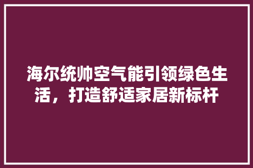 海尔统帅空气能引领绿色生活，打造舒适家居新标杆 空调