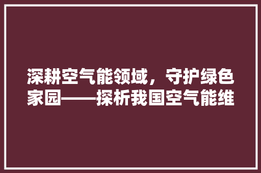 深耕空气能领域，守护绿色家园——探析我国空气能维修公司的发展与创新 家居维修
