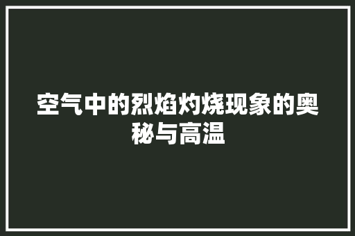 空气中的烈焰灼烧现象的奥秘与高温 洗衣机