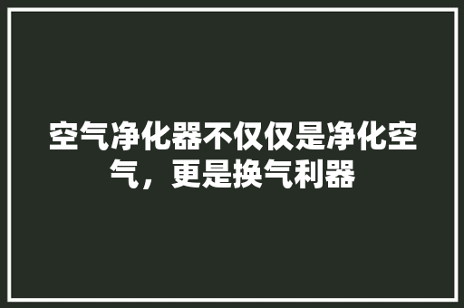 空气净化器不仅仅是净化空气，更是换气利器 热水器