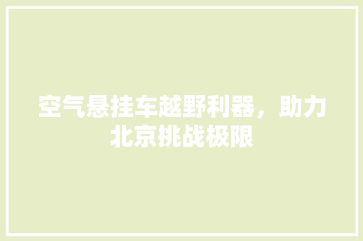 空气悬挂车越野利器，助力北京挑战极限 局部翻新