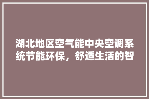 湖北地区空气能中央空调系统节能环保，舒适生活的智慧选择 洁具维修