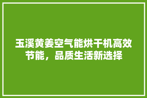 玉溪黄姜空气能烘干机高效节能，品质生活新选择 水电维修