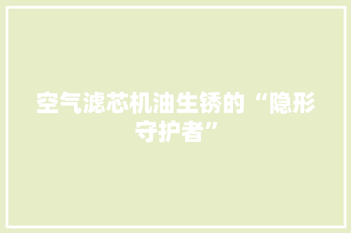 空气滤芯机油生锈的“隐形守护者” 旧房改造