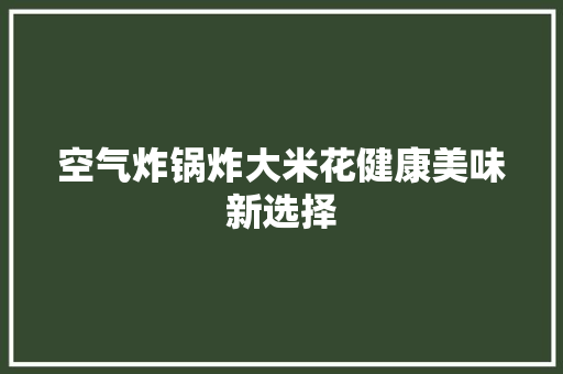 空气炸锅炸大米花健康美味新选择 清洁保养