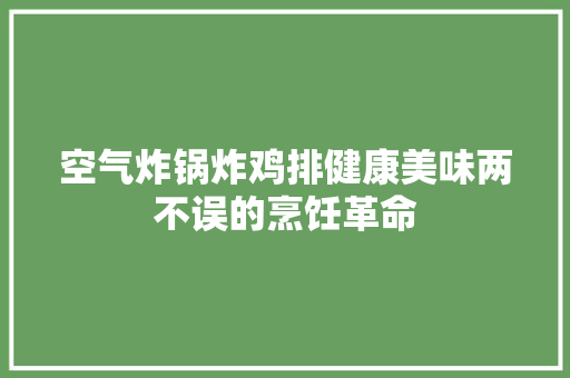 空气炸锅炸鸡排健康美味两不误的烹饪革命 家电维护