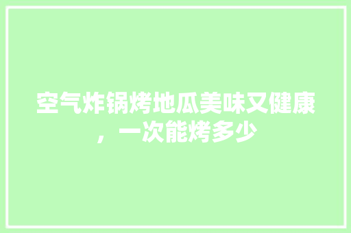 空气炸锅烤地瓜美味又健康，一次能烤多少 水电维修