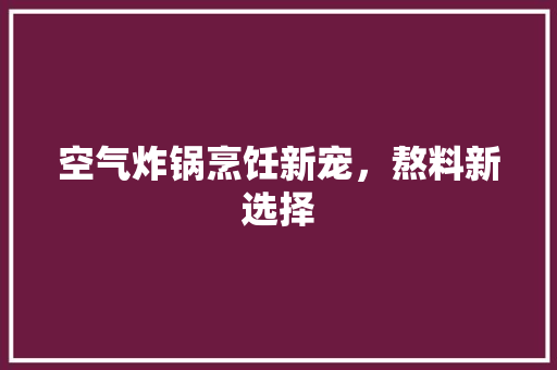空气炸锅烹饪新宠，熬料新选择 清洁保养
