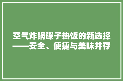 空气炸锅碟子热饭的新选择——安全、便捷与美味并存 热水器