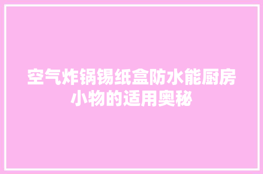 空气炸锅锡纸盒防水能厨房小物的适用奥秘 装修设计