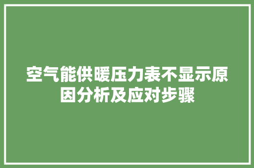 空气能供暖压力表不显示原因分析及应对步骤 局部翻新
