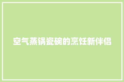 空气蒸锅瓷碗的烹饪新伴侣 贴膜