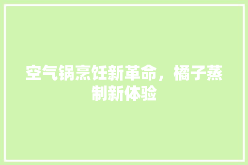 空气锅烹饪新革命，橘子蒸制新体验 装修设计