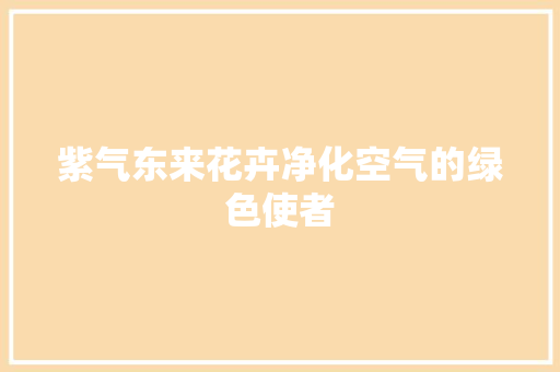 紫气东来花卉净化空气的绿色使者 洁具维修