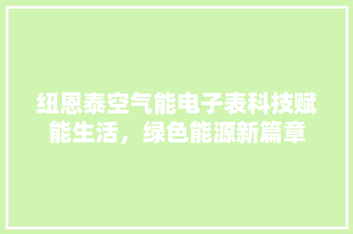纽恩泰空气能电子表科技赋能生活，绿色能源新篇章 空调