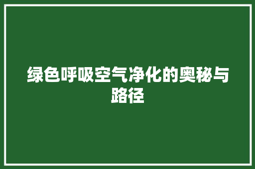 绿色呼吸空气净化的奥秘与路径 空调