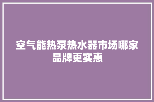 空气能热泵热水器市场哪家品牌更实惠 家具修理