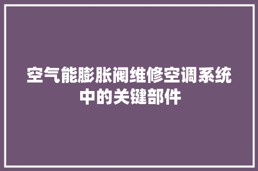 空气能膨胀阀维修空调系统中的关键部件 灯具安装