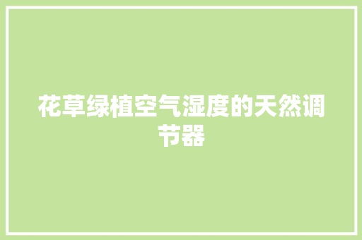 花草绿植空气湿度的天然调节器 翻新改色