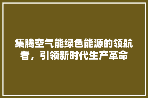 集腾空气能绿色能源的领航者，引领新时代生产革命 家电维护