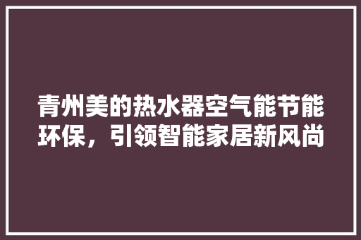 青州美的热水器空气能节能环保，引领智能家居新风尚 清洁保养