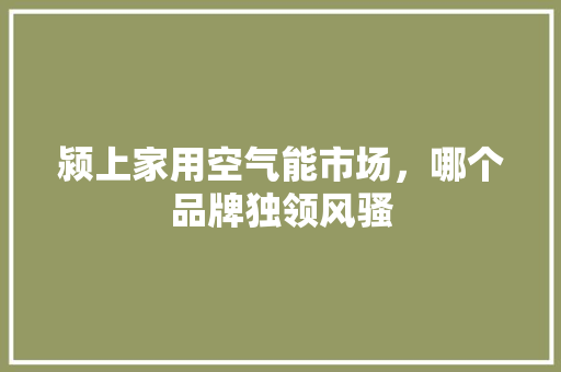 颍上家用空气能市场，哪个品牌独领风骚 家具修理