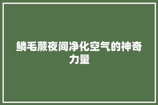 鳞毛蕨夜间净化空气的神奇力量 热水器