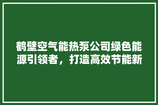 鹤壁空气能热泵公司绿色能源引领者，打造高效节能新篇章 家电维护