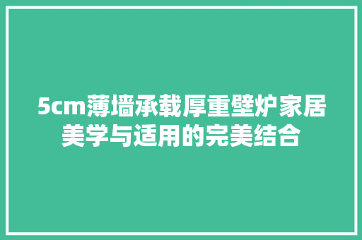 5cm薄墙承载厚重壁炉家居美学与适用的完美结合 洁具维修