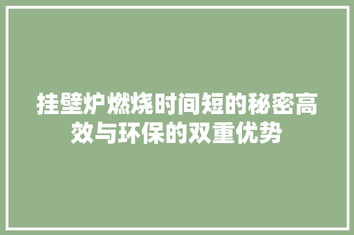 挂壁炉燃烧时间短的秘密高效与环保的双重优势 家电维护