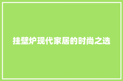 挂壁炉现代家居的时尚之选 装修设计