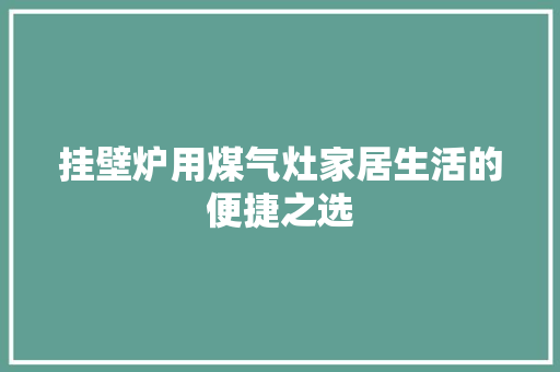 挂壁炉用煤气灶家居生活的便捷之选 龙头管件