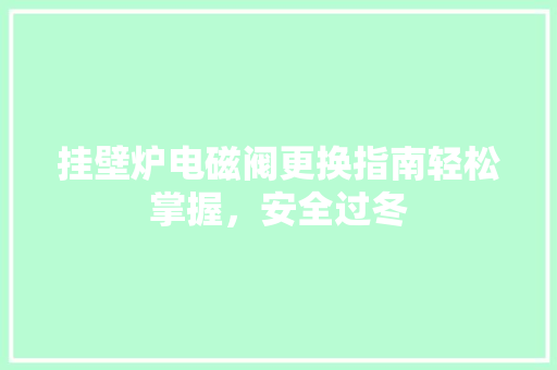 挂壁炉电磁阀更换指南轻松掌握，安全过冬 冰箱
