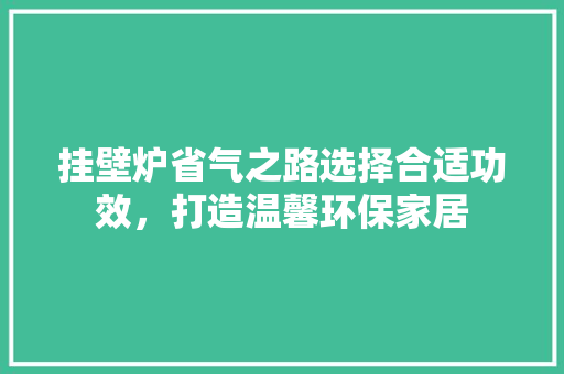 挂壁炉省气之路选择合适功效，打造温馨环保家居 清洁保养